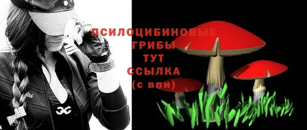 стафф Баксан
