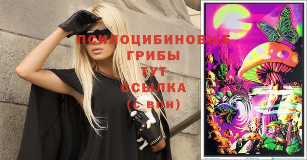 стафф Баксан