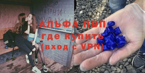 ГАЛЛЮЦИНОГЕННЫЕ ГРИБЫ Няндома