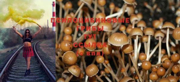 стафф Баксан